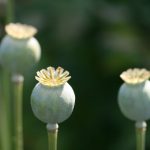 免费观a在线观看视频网站国产亚州免费视频观看 0bja0h