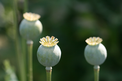免费观a在线观看视频网站国产亚州免费视频观看 免费观a在线观看视频网站国产亚州免费视频观看