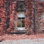 曰韩在线不卡 23dmixrcb8