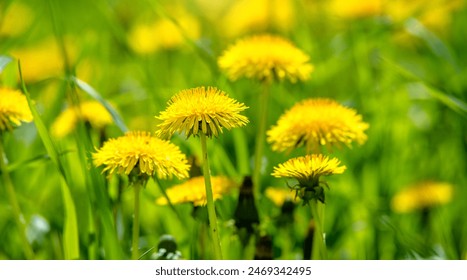 暖暖在线观看高清动漫视频 暖暖在线观看高清动漫视频