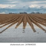 浪货两个都满足不了你 74opubxie