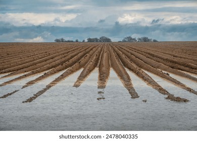 浪货两个都满足不了你 浪货两个都满足不了你