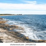 免费网站免费视频 aag20234