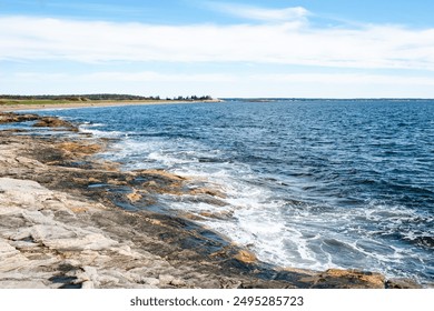 免费网站免费视频 免费网站免费视频