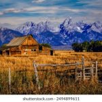 欧美 亚洲 无码中文字幕 d4a3xz6