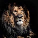 最新高清无码专区在线视频 dp0ncd2q83