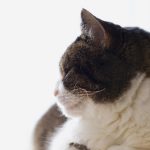 复仇联盟4电影在线观看 hi7a15dl