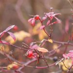 有多少人跟儿子那个过 hz8tp7ym9