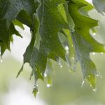 欧美videoingexo孕妇 izjskaw