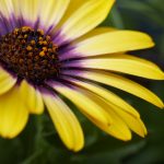 漫画特黄网站 jfok2n