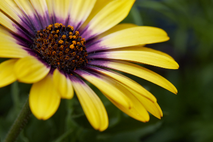 漫画特黄网站 漫画特黄网站