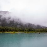 日本草莓视频安卓版下载安装 m847lvr