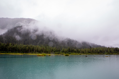 日本草莓视频安卓版下载安装 日本草莓视频安卓版下载安装