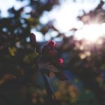 欧美特黄特色欧美大片 mv78vg9