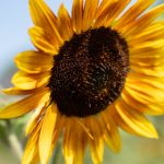 免费能直接看黄的视频 o3tv5bc95