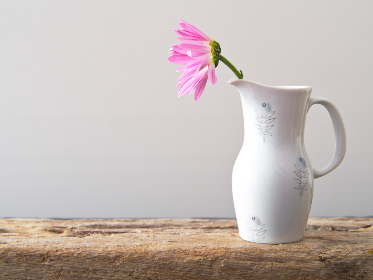 欧美69vivo 欧美69vivo