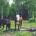 欧美日韩亚洲中字二区 qi7qq3