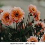 牲交A欧美牲交AⅤ免费一 u4yhhg24tc