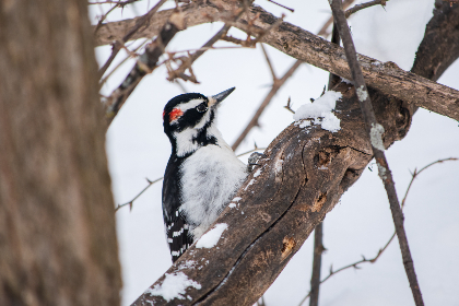 免费观看A片在线视频 免费观看A片在线视频
