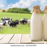 一起看手机版app:畅享精彩视频,随时随地与朋友共享乐趣 001147y144