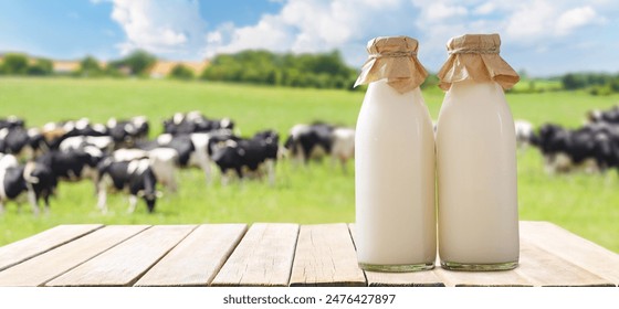 一起看手机版app:畅享精彩视频,随时随地与朋友共享乐趣 一起看手机版app:畅享精彩视频,随时随地与朋友共享乐趣