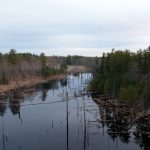 toptoon free:畅享无限精彩漫画,尽在Toptoon免费专区! 6qfd1j8as