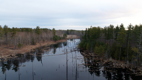 toptoon free:畅享无限精彩漫画,尽在Toptoon免费专区! toptoon free:畅享无限精彩漫画,尽在Toptoon免费专区!