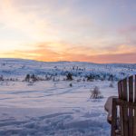 tophub alerts:实时监控与通知,助你掌握最新动态与趋势 i7k37x17