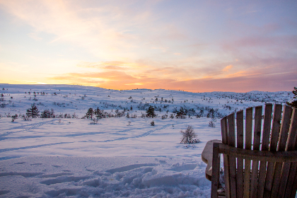 tophub alerts:实时监控与通知,助你掌握最新动态与趋势 tophub alerts:实时监控与通知,助你掌握最新动态与趋势