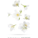 低端影视ddrs地址:获取最新影视资源的最佳途径与技巧 yzuja92eq3