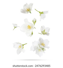 低端影视ddrs地址:获取最新影视资源的最佳途径与技巧 低端影视ddrs地址:获取最新影视资源的最佳途径与技巧